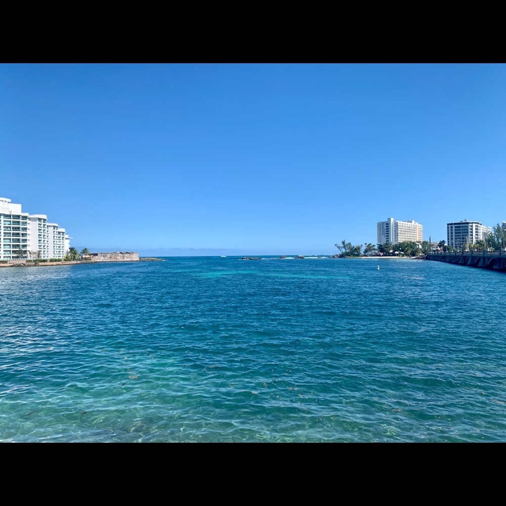 Meet your Posher, Mariemi